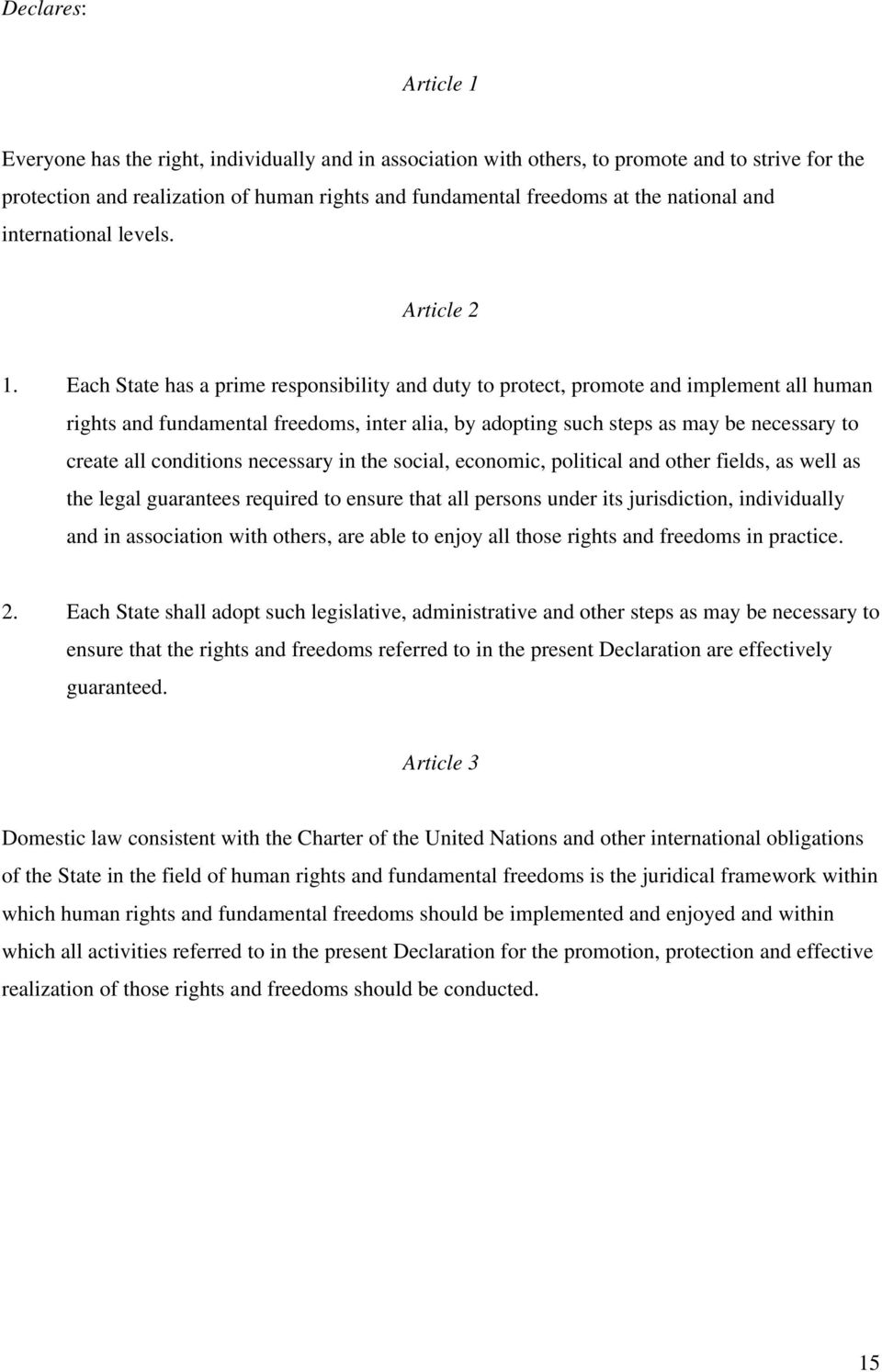 Each State has a prime responsibility and duty to protect, promote and implement all human rights and fundamental freedoms, inter alia, by adopting such steps as may be necessary to create all