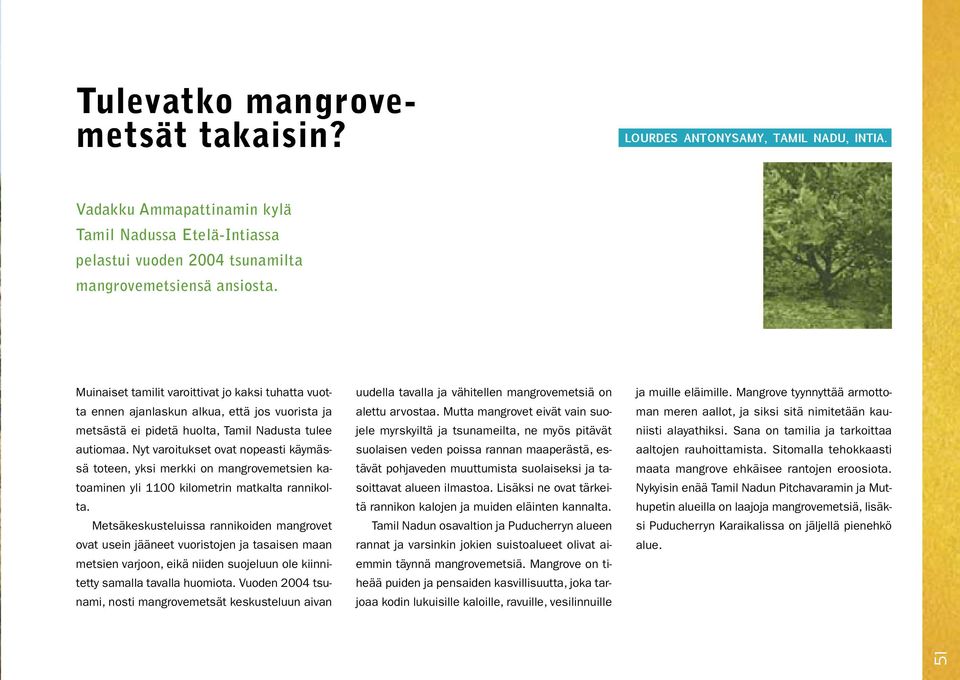 Nyt varoitukset ovat nopeasti käymässä toteen, yksi merkki on mangrovemetsien katoaminen yli 1100 kilometrin matkalta rannikolta.