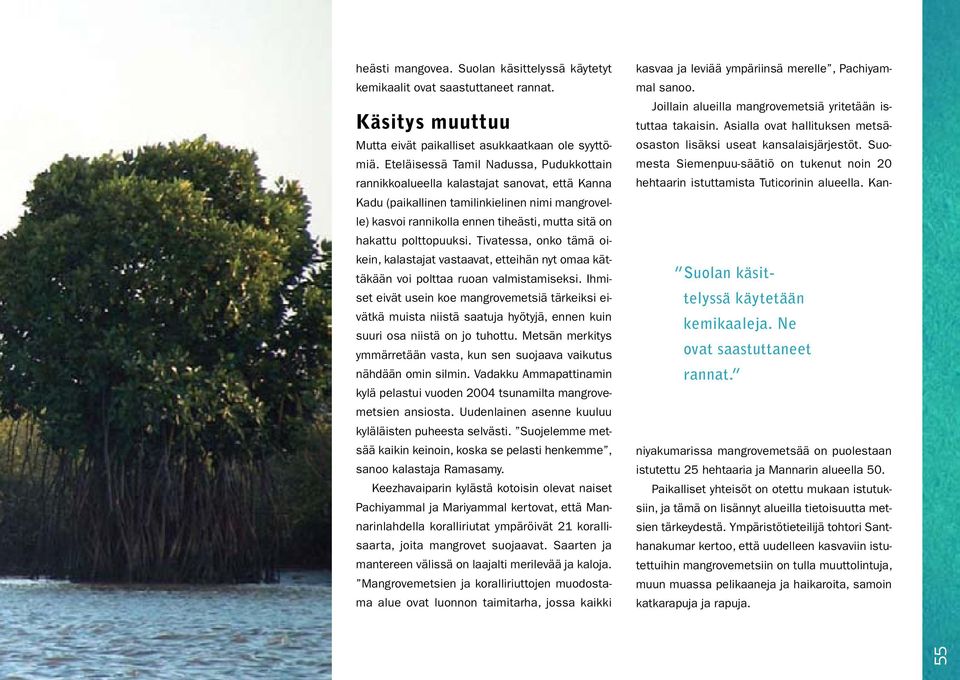 polttopuuksi. Tivatessa, onko tämä oikein, kalastajat vastaavat, etteihän nyt omaa kättäkään voi polttaa ruoan valmistamiseksi.