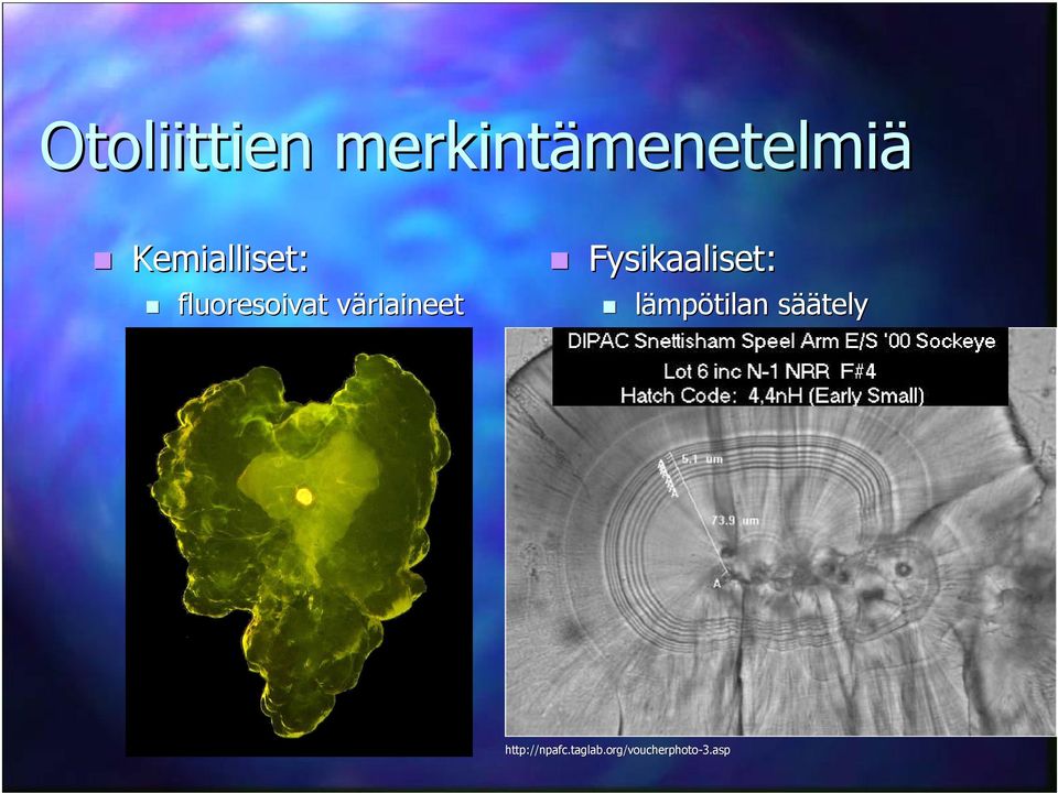 Fysikaaliset: lämpötilan säätely veden lämmitys veden jäähdytys valojakson säätely lyhennetty valo/pimeä-