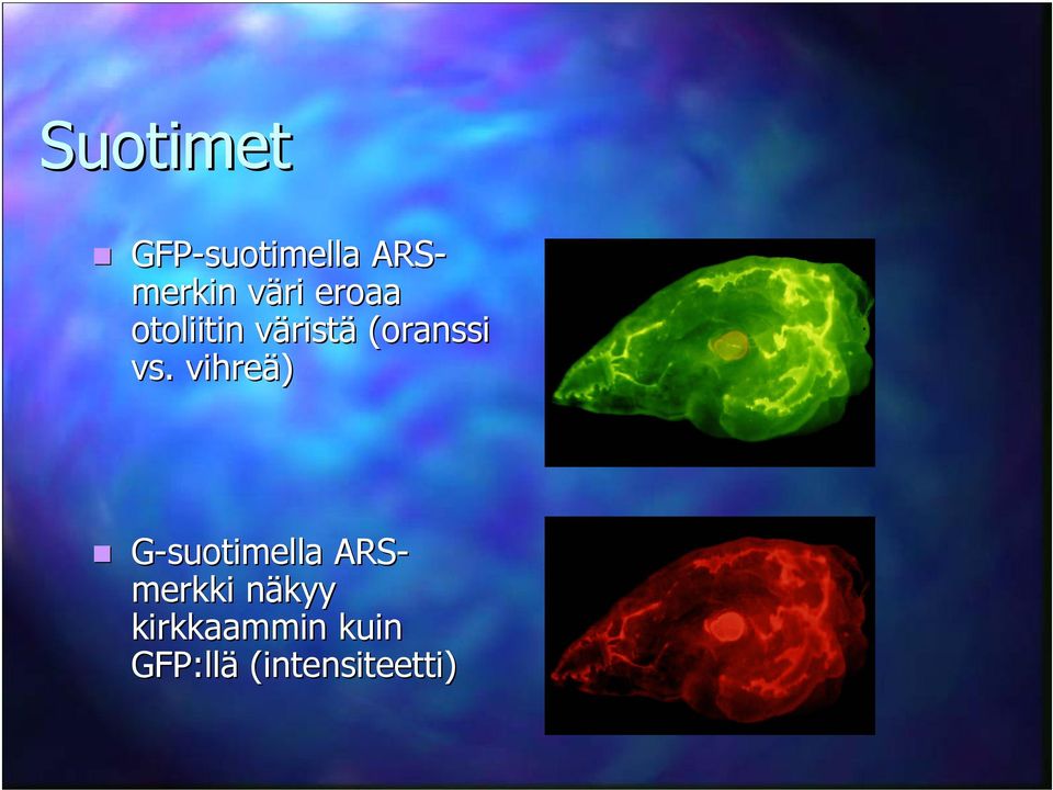 vs. vihreä) G-suotimella ARS- merkki