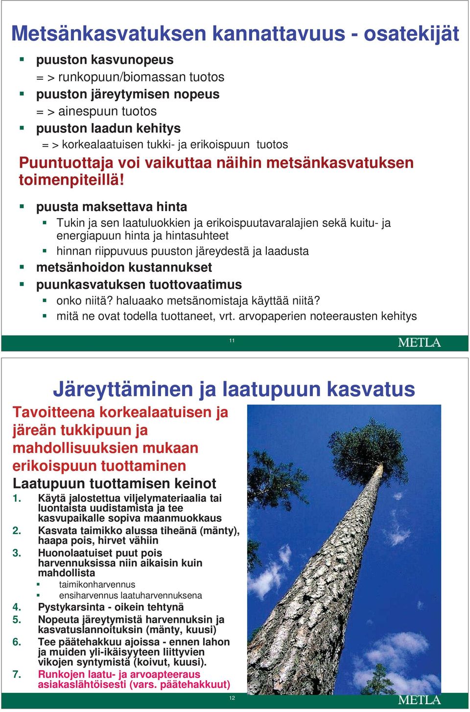 puusta maksettava hinta Tukin ja sen laatuluokkien ja erikoispuutavaralajien sekä kuitu- ja energiapuun hinta ja hintasuhteet hinnan riippuvuus puuston järeydestä ja laadusta metsänhoidon