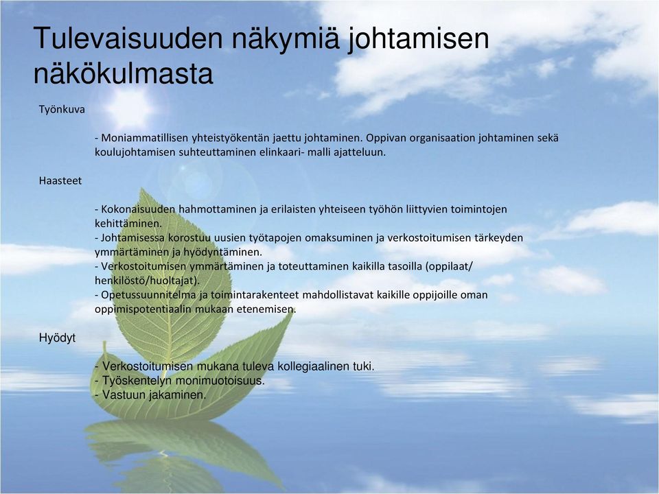 - Kokonaisuuden hahmottaminen ja erilaisten yhteiseen työhön liittyvien toimintojen kehittäminen.
