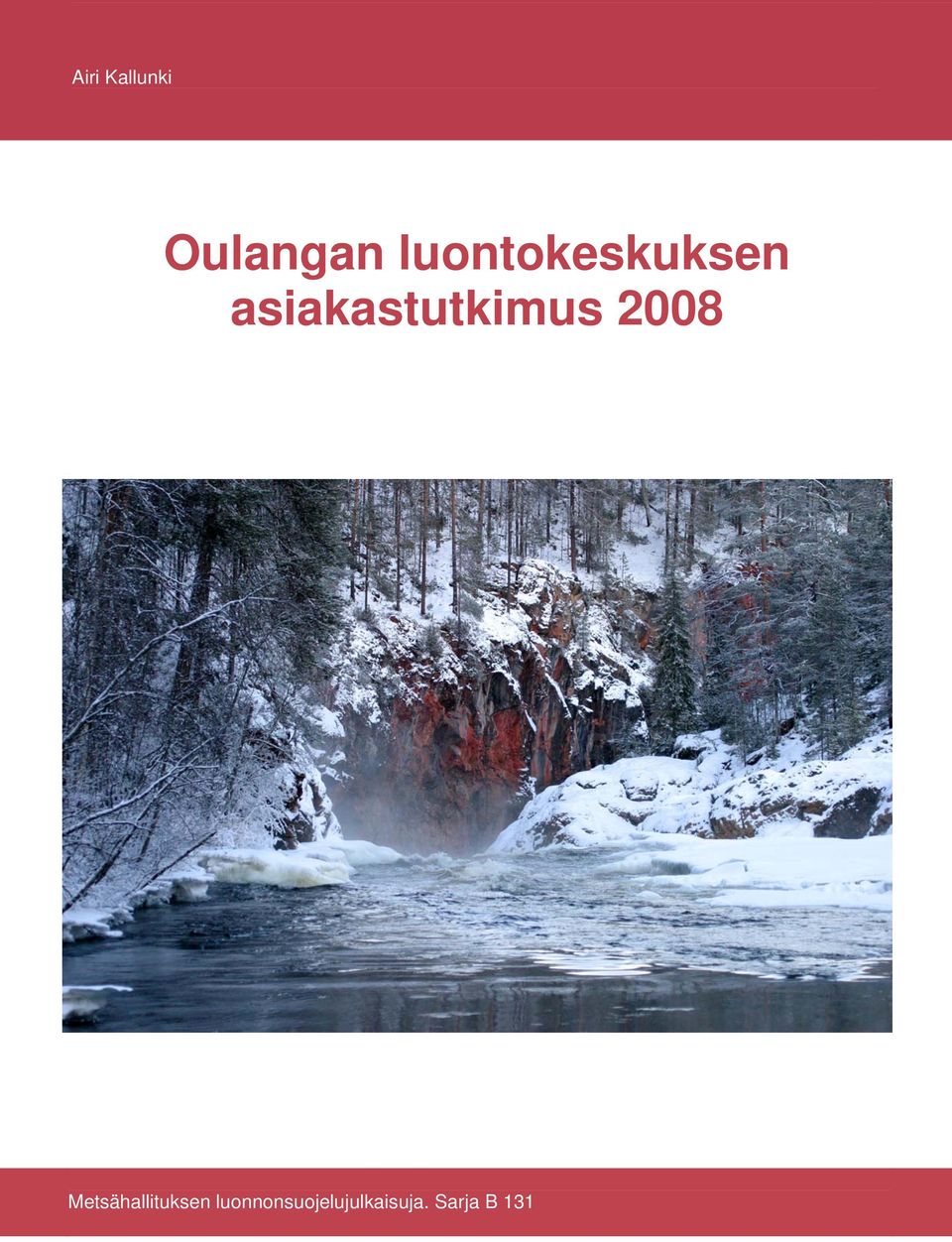 asiakastutkimus 2008