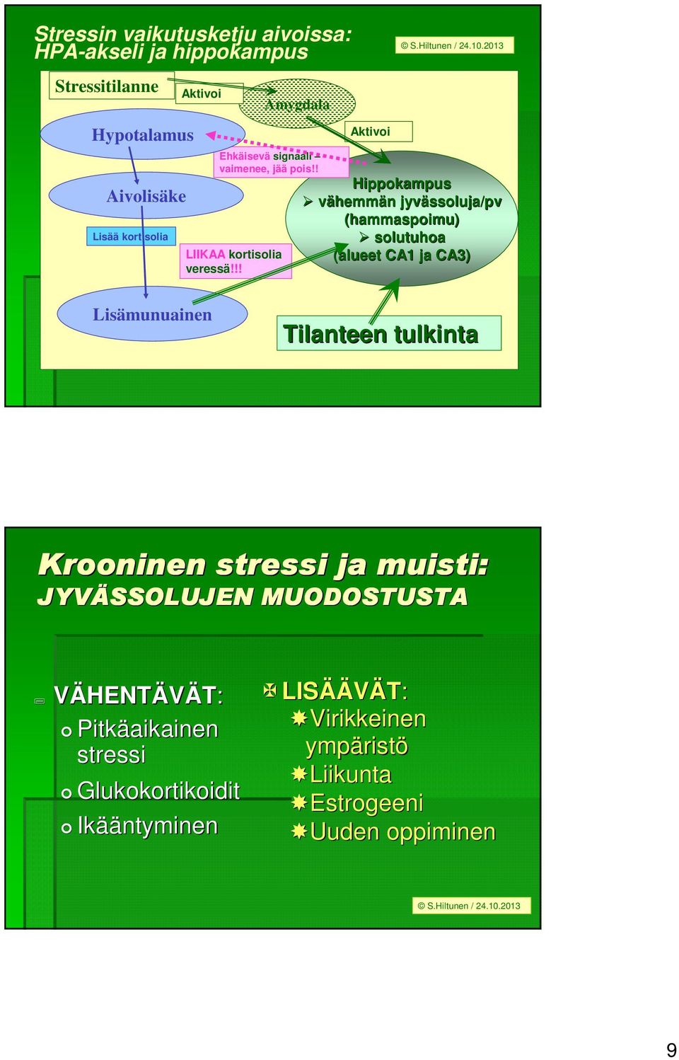 !! Aktivoi Hippokampus vähemmän n jyvässoluja/pv (hammaspoimu) solutuhoa (alueet CA1 ja CA3) Lisämunuainen Tilanteen tulkinta