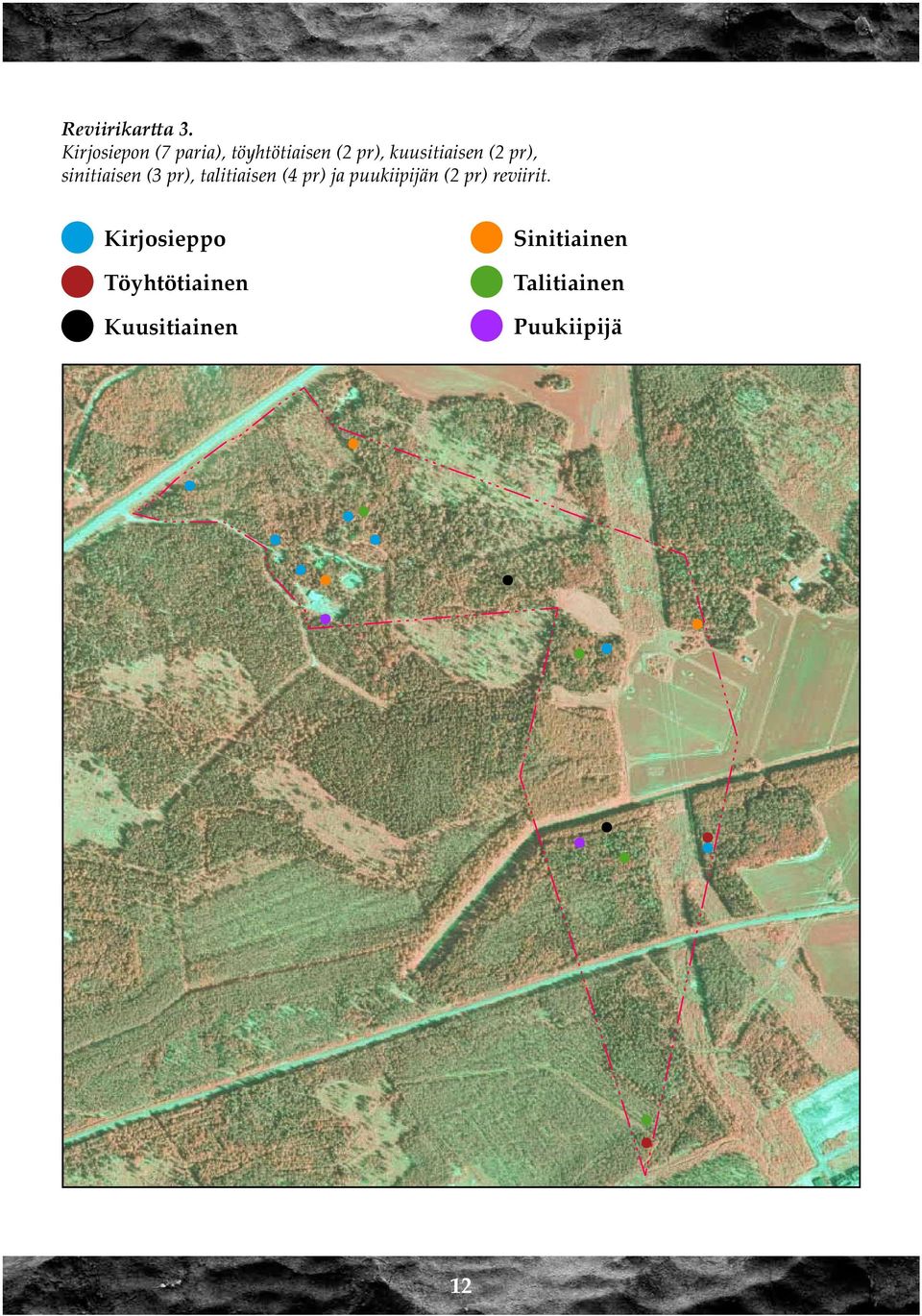 pr), sinitiaisen (3 pr), talitiaisen (4 pr) ja puukiipijän (2