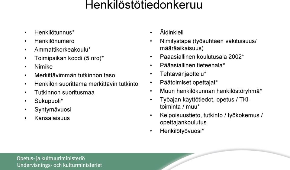 vakituisuus/ määräaikaisuus) Pääasiallinen koulutusala 2002* Pääasiallinen tieteenala* Tehtävänjaottelu* Päätoimiset opettajat* Muun