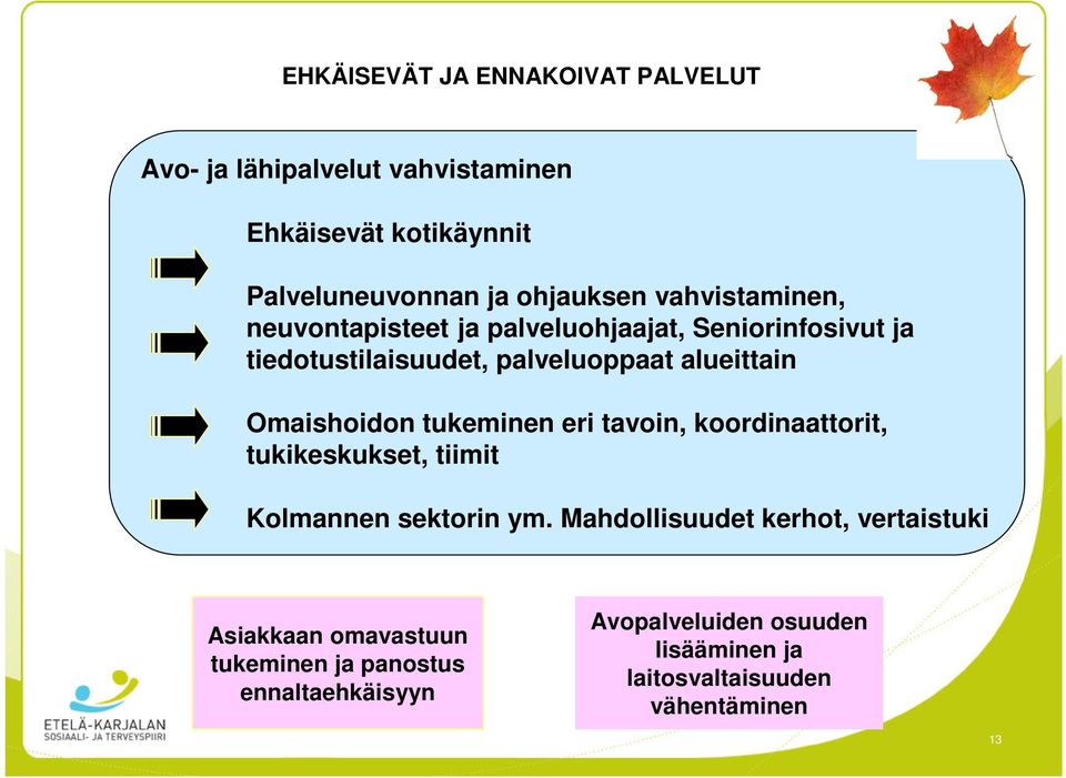 Omaishoidon tukeminen eri tavoin, koordinaattorit, tukikeskukset, tiimit Kolmannen sektorin ym.