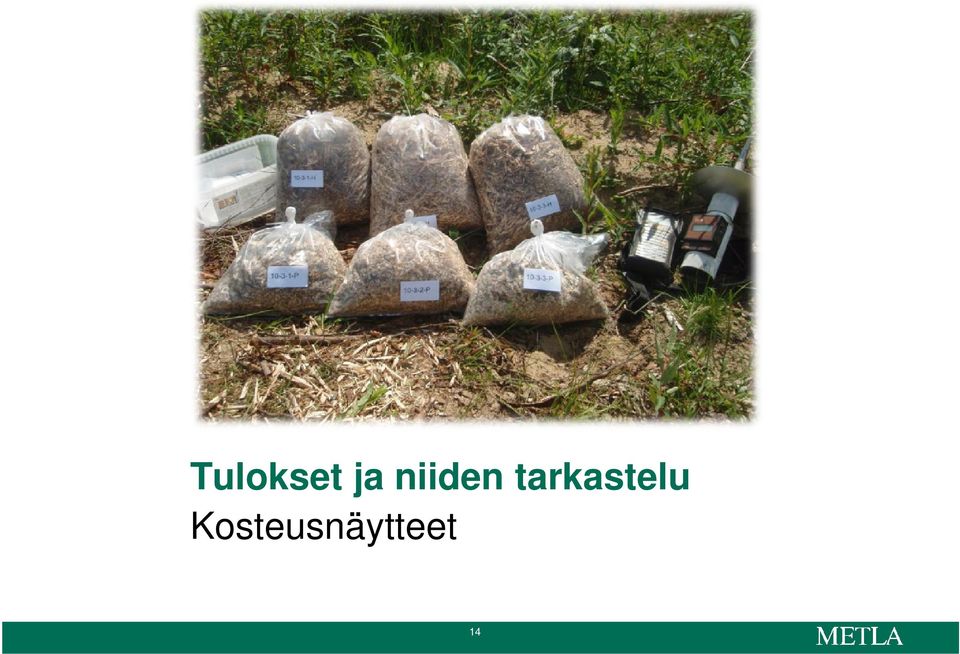 tarkastelu