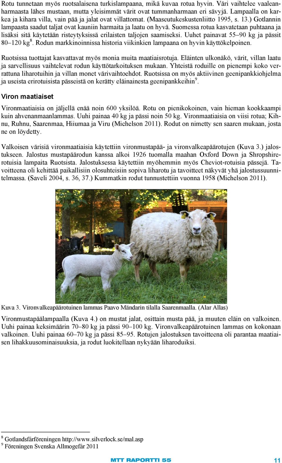 Suomessa rotua kasvatetaan puhtaana ja lisäksi sitä käytetään risteytyksissä erilaisten taljojen saamiseksi. Uuhet painavat 55 90 kg ja pässit 80 120 kg 8.