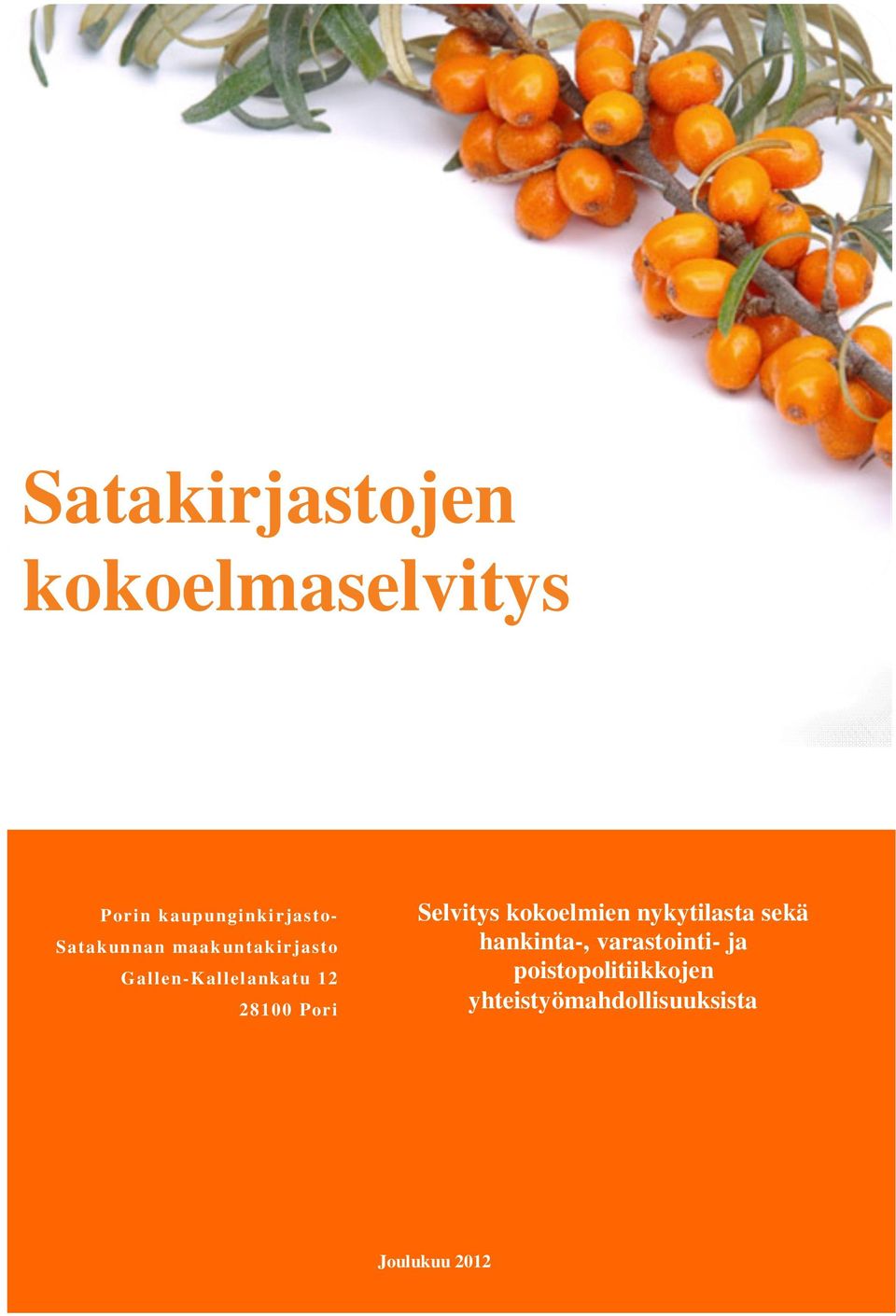 Pori Selvitys kokoelmien nykytilasta sekä hankinta-,