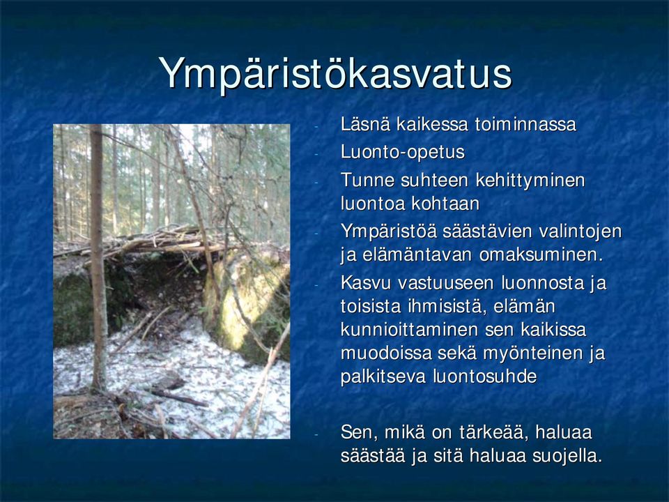 Kasvu vastuuseen luonnosta ja toisista ihmisistä,, elämän kunnioittaminen sen kaikissa muodoissa