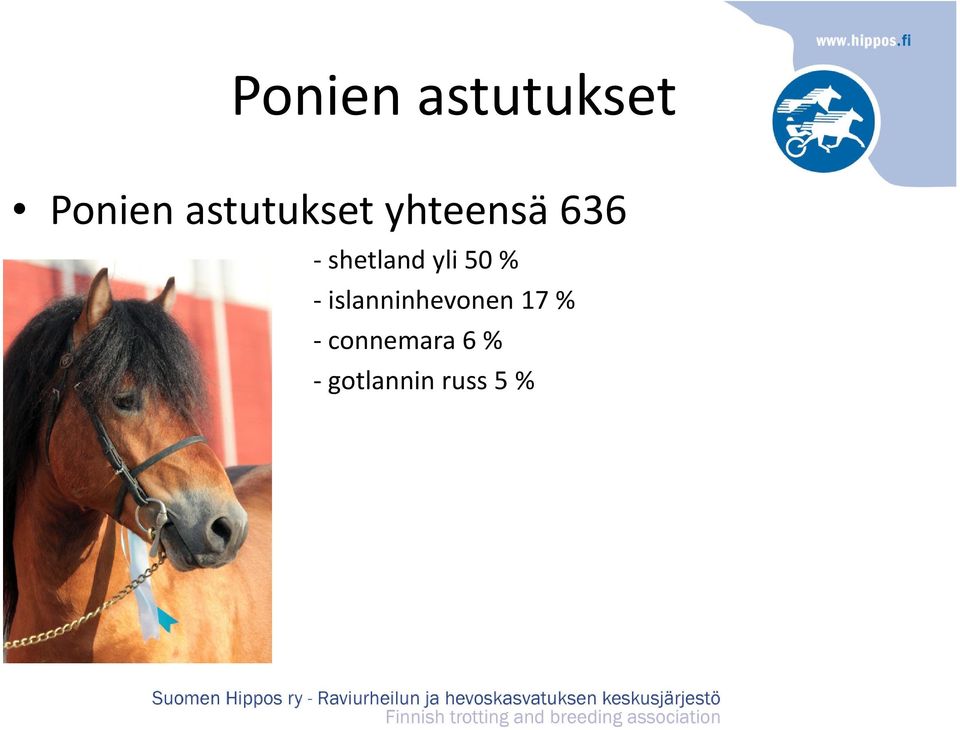 shetland yli 50 %