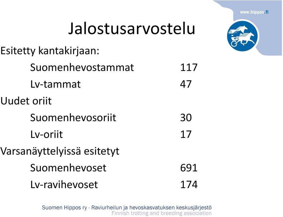 oriit Suomenhevosoriit 30 Lv oriit 17