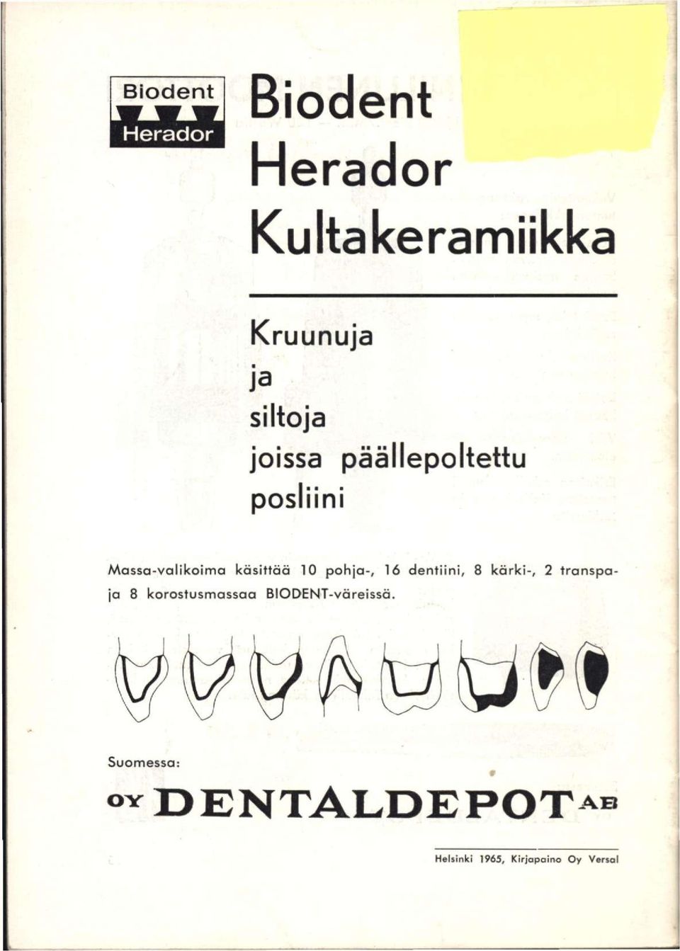 käsittää 10 pohja-, 16 dentiini, 8 kärki-, 2 transpaja 8