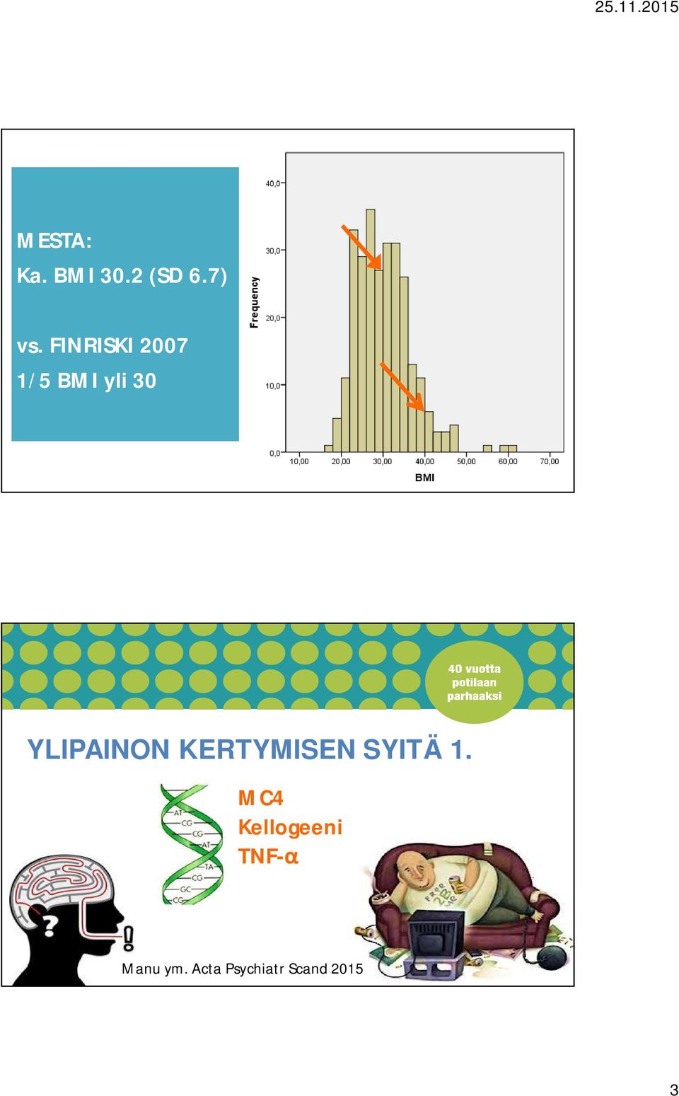 YLIPAINON KERTYMISEN SYITÄ 1.