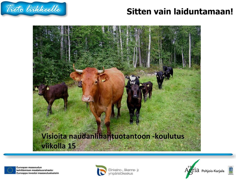 Visioita