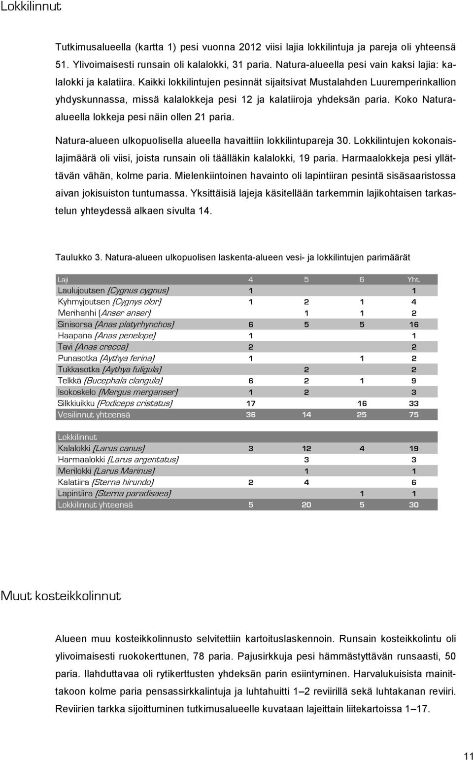 Kaikki lokkilintujen pesinnät sijaitsivat Mustalahden Luuremperinkallion yhdyskunnassa, missä kalalokkeja pesi 12 ja kalatiiroja yhdeksän paria. Koko Naturaalueella lokkeja pesi näin ollen 21 paria.