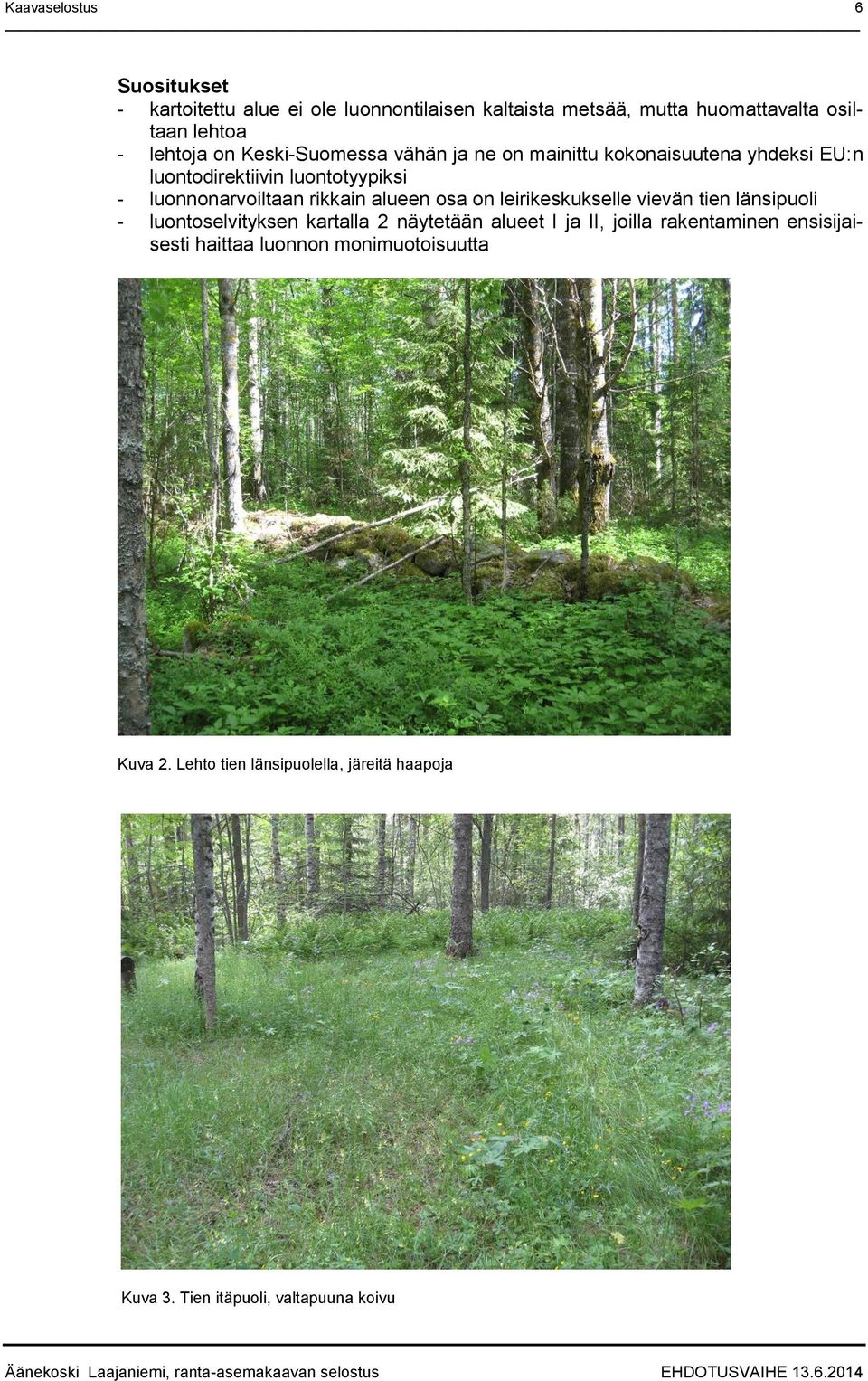 alueen osa on leirikeskukselle vievän tien länsipuoli - luontoselvityksen kartalla 2 näytetään alueet I ja II, joilla