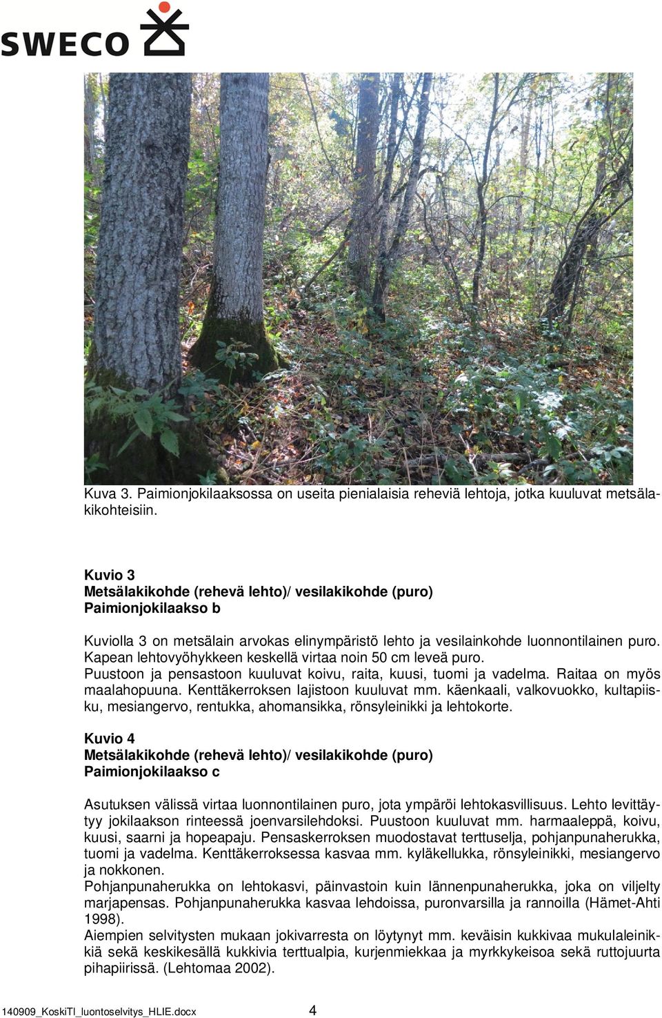 Kapean lehtovyöhykkeen keskellä virtaa noin 50 cm leveä puro. Puustoon ja pensastoon kuuluvat koivu, raita, kuusi, tuomi ja vadelma. Raitaa on myös maalahopuuna. Kenttäkerroksen lajistoon kuuluvat mm.