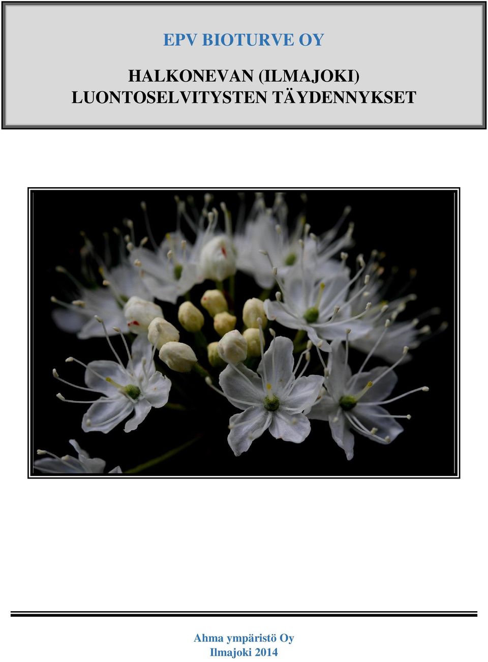 LUONTOSELVITYSTEN