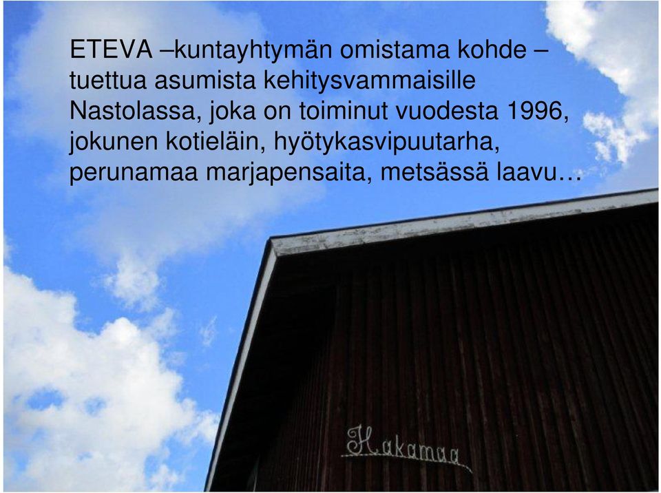 toiminut vuodesta 1996, jokunen kotieläin,