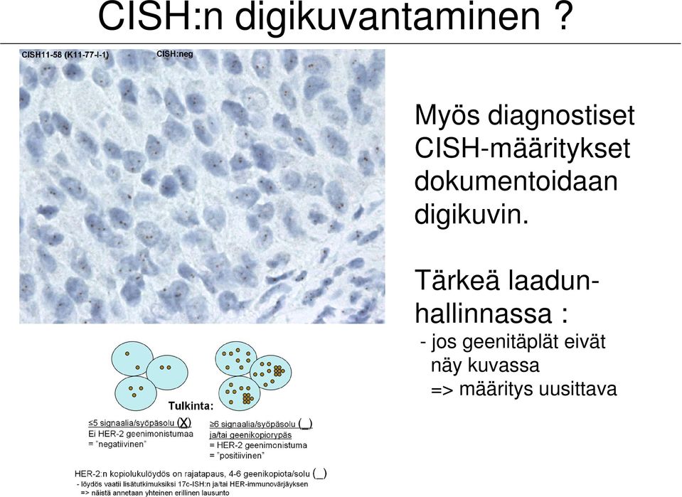 dokumentoidaan digikuvin.