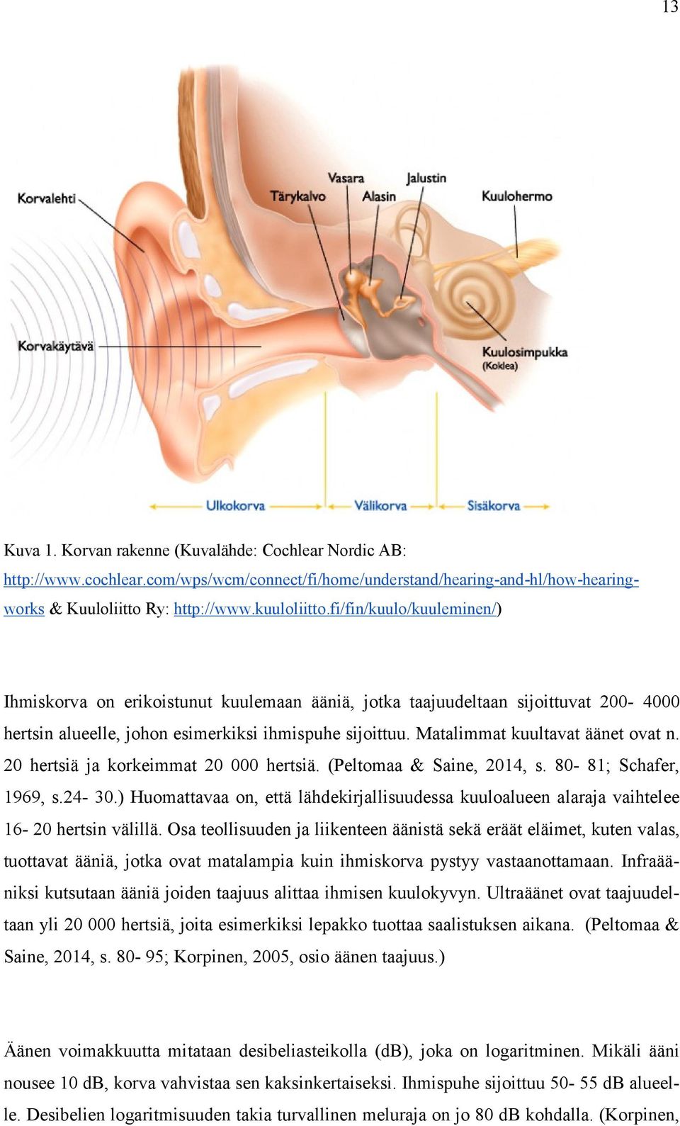 Matalimmat kuultavat äänet ovat n. 20 hertsiä ja korkeimmat 20 000 hertsiä. (Peltomaa & Saine, 2014, s. 80-81; Schafer, 1969, s.24-30.