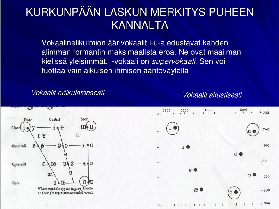 Ne ovat maailman kielissä yleisimmät. i-vokaali on supervokaali.