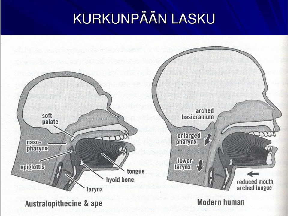 LASKU