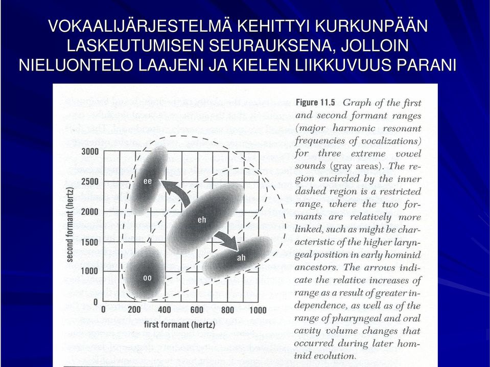 LASKEUTUMISEN SEURAUKSENA,