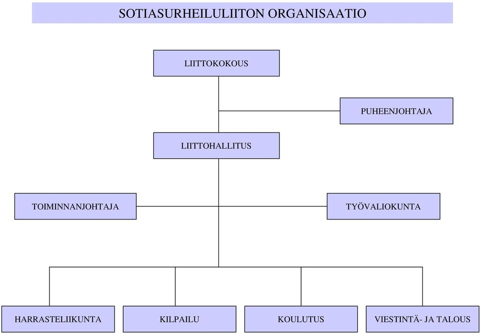 LIITTOHALLITUS TOIMINNANJOHTAJA