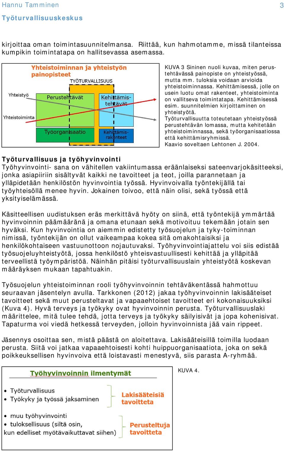 Kehittämisessä, jolle on usein luotu omat rakenteet, yhteistoiminta on vallitseva toimintatapa. Kehittämisessä esim. suunnitelmien kirjoittaminen on yhteistyötä.