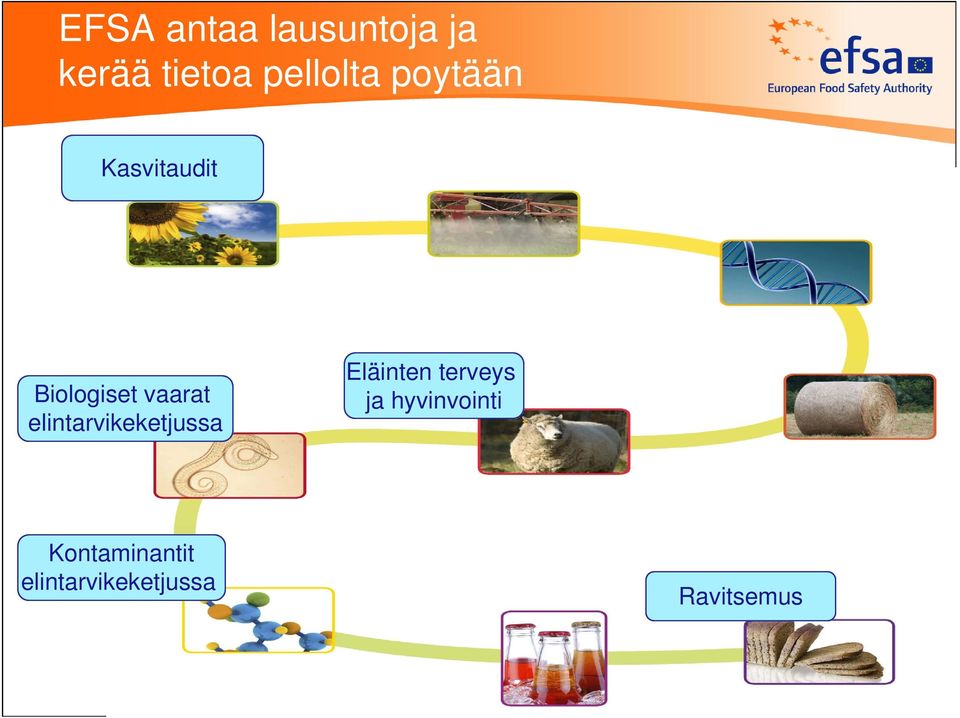 vaarat elintarvikeketjussa Eläinten terveys