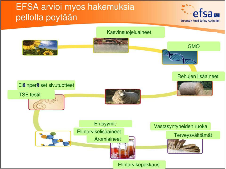 sivutuotteet TSE testit Entsyymit Elintarvikelisäaineet