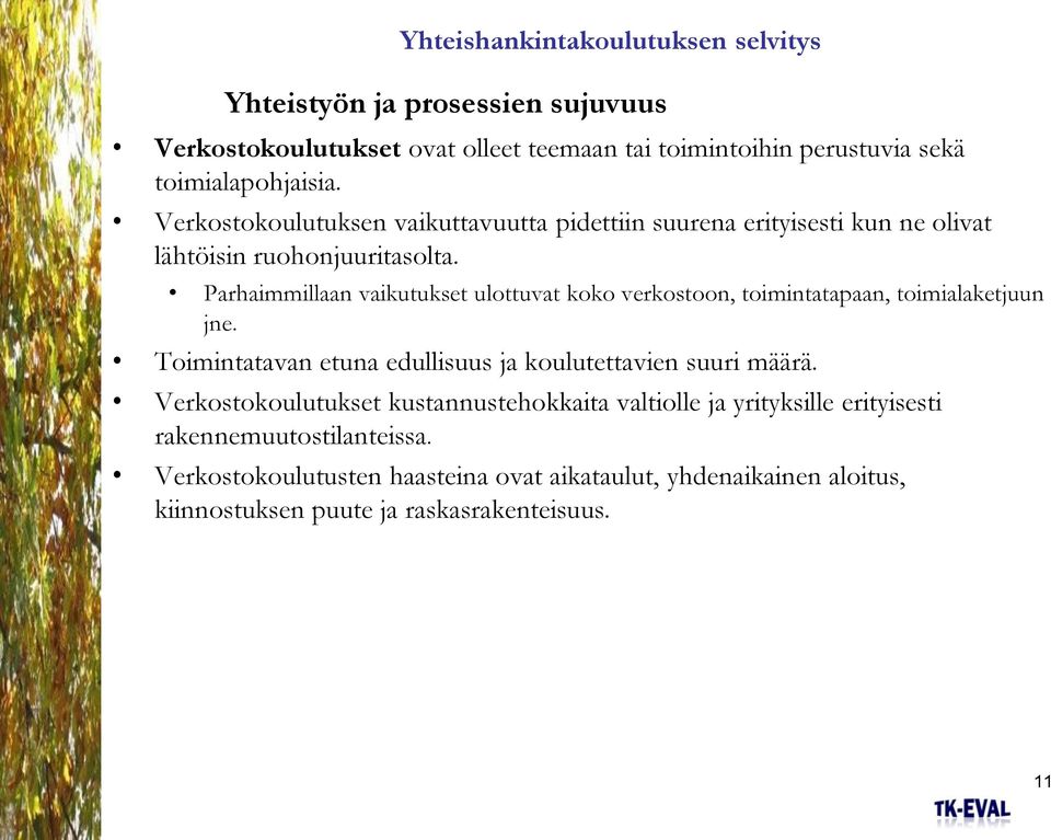 Parhaimmillaan vaikutukset ulottuvat koko verkostoon, toimintatapaan, toimialaketjuun jne. Toimintatavan etuna edullisuus ja koulutettavien suuri määrä.