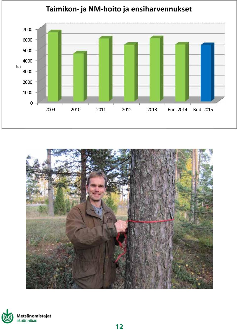 ensiharvennukset 7 6 5 ha 4 3