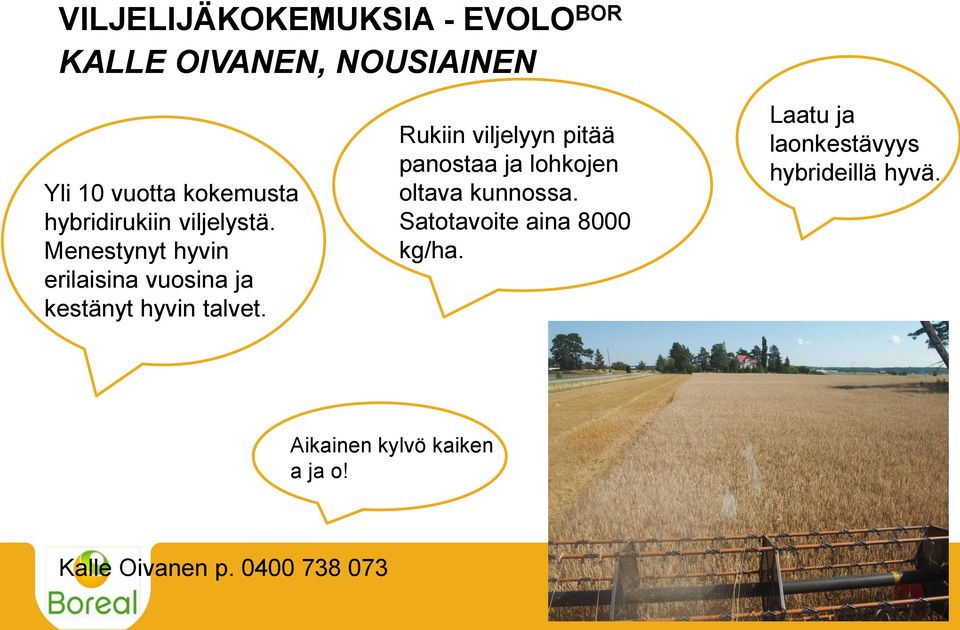 Rukiin viljelyyn pitää panostaa ja lohkojen oltava kunnossa. Satotavoite aina 8000 kg/ha.