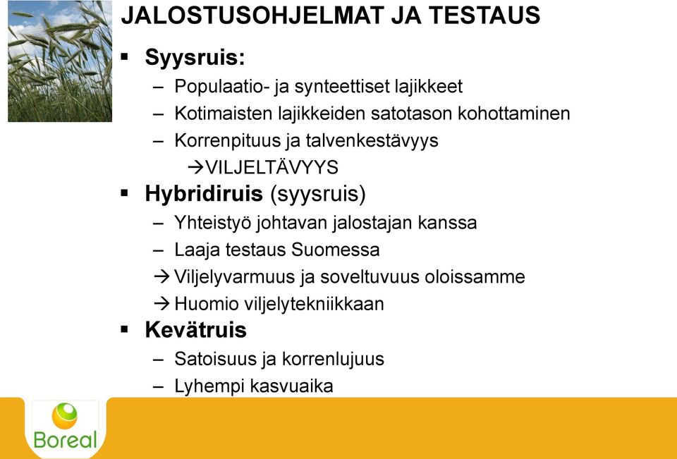 (syysruis) Yhteistyö johtavan jalostajan kanssa Laaja testaus Suomessa Viljelyvarmuus ja
