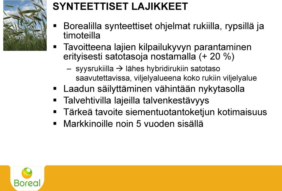 satotaso saavutettavissa, viljelyalueena koko rukiin viljelyalue Laadun säilyttäminen vähintään nykytasolla