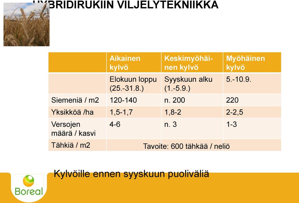 200 220 Myöhäinen kylvö 5.-10.9.