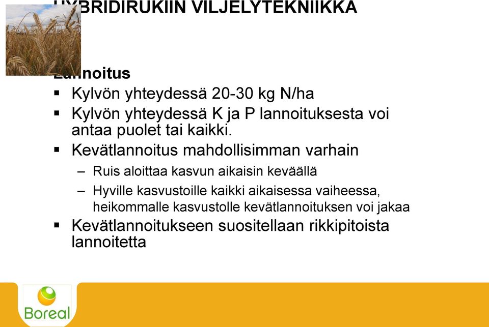 Kevätlannoitus mahdollisimman varhain Ruis aloittaa kasvun aikaisin keväällä Hyville