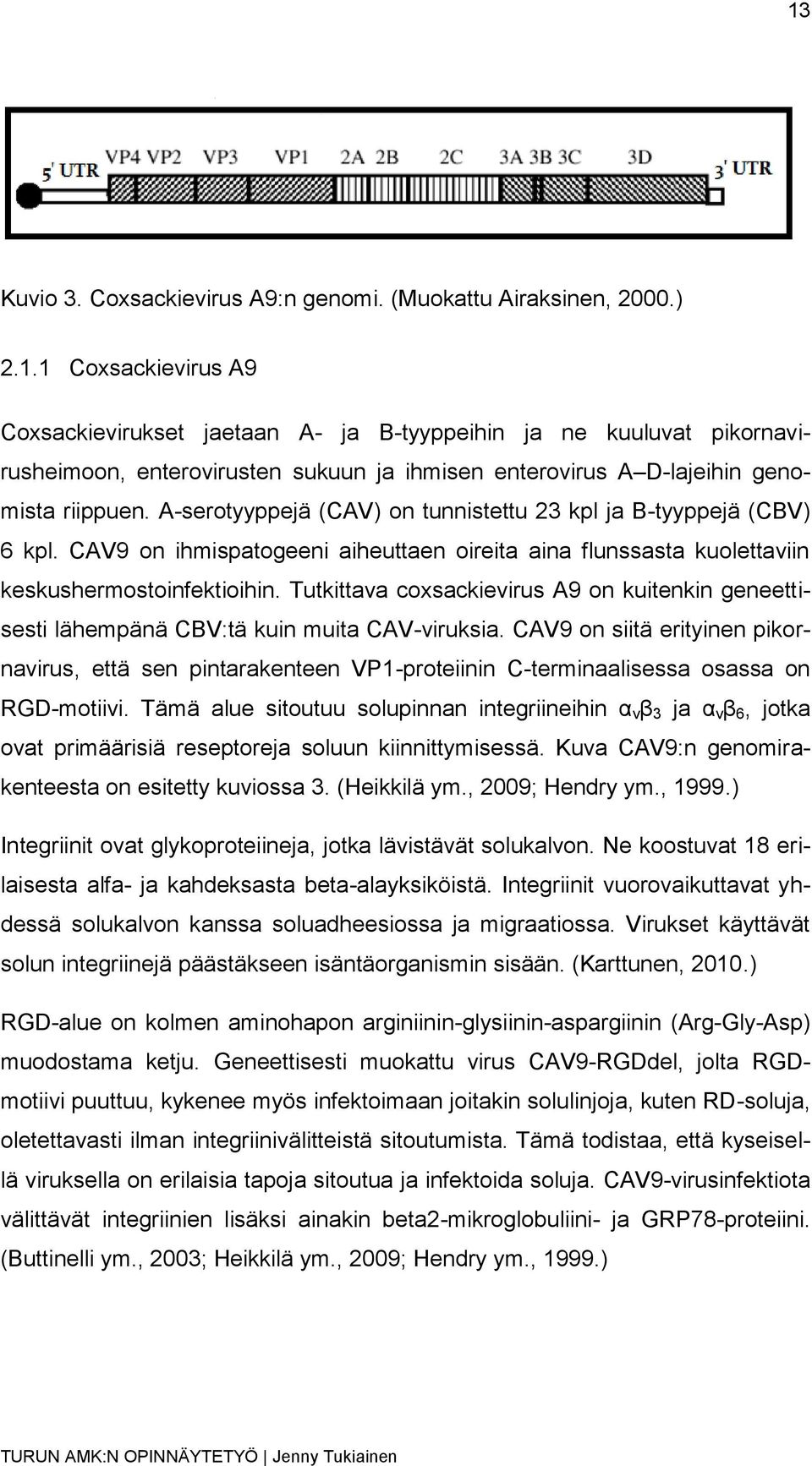 Tutkittava coxsackievirus A9 on kuitenkin geneettisesti lähempänä CBV:tä kuin muita CAV-viruksia.