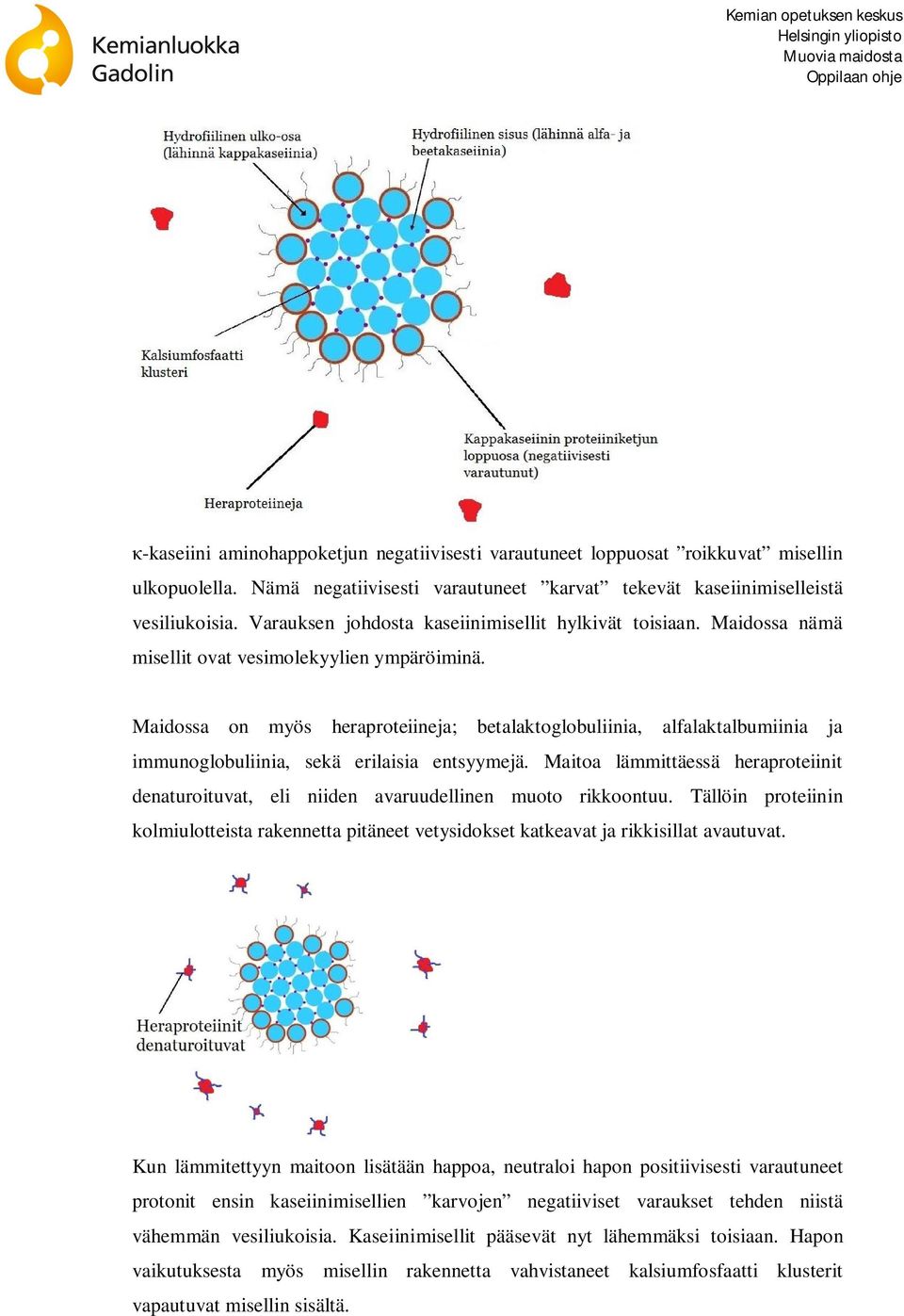 Maidossa on myös heraproteiineja; betalaktoglobuliinia, alfalaktalbumiinia ja immunoglobuliinia, sekä erilaisia entsyymejä.