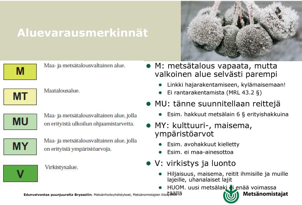 hakkuut metsälain 6 erityishakkuina MY: kulttuuri-, maisema, ympäristöarvot Esim. avohakkuut kielletty Esim.