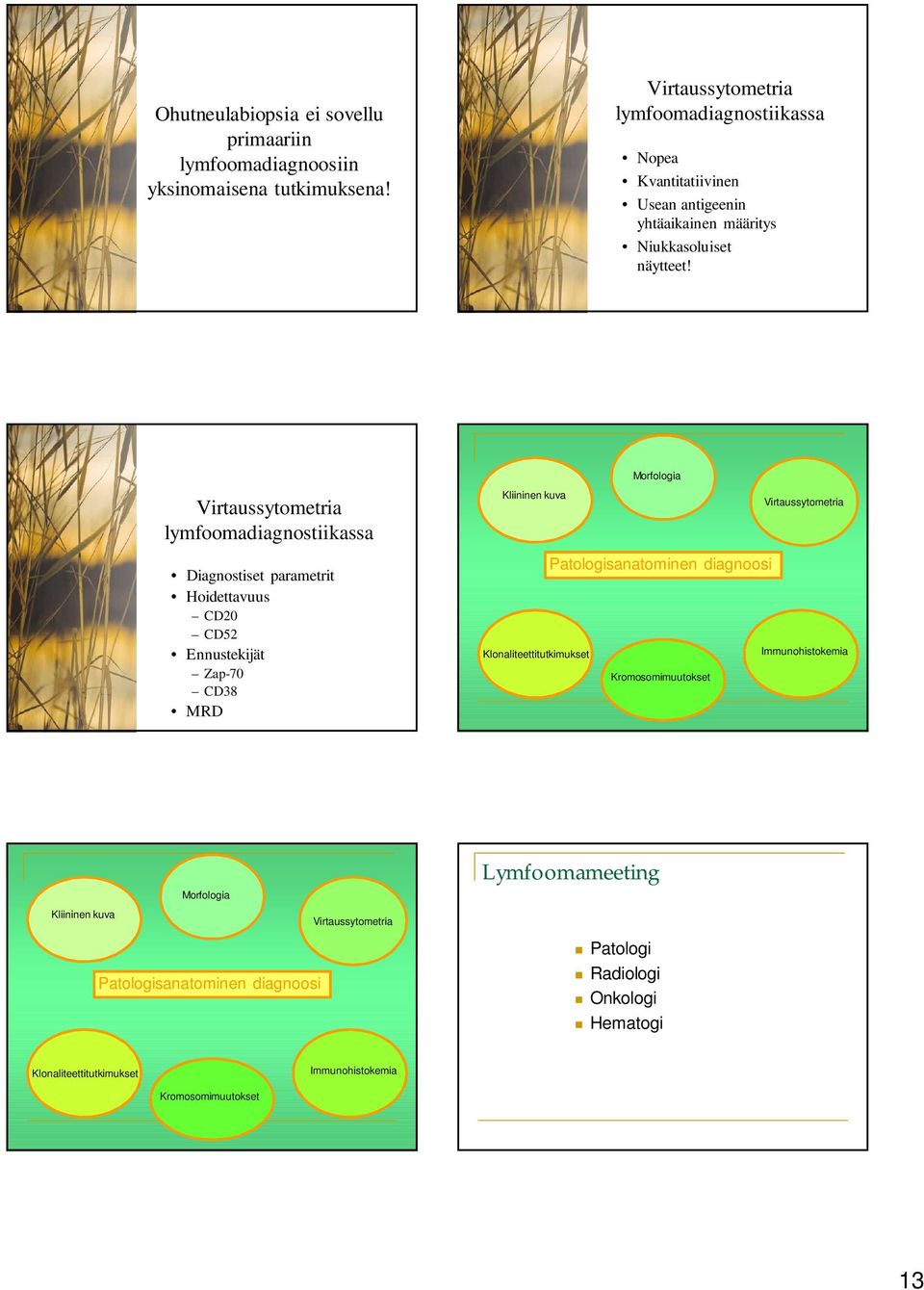 Morfologia lymfoomadiagnostiikassa Kliininen kuva Diagnostiset parametrit Hoidettavuus CD20 CD52 Ennustekijät Zap-70 CD38 MRD Patologisanatominen