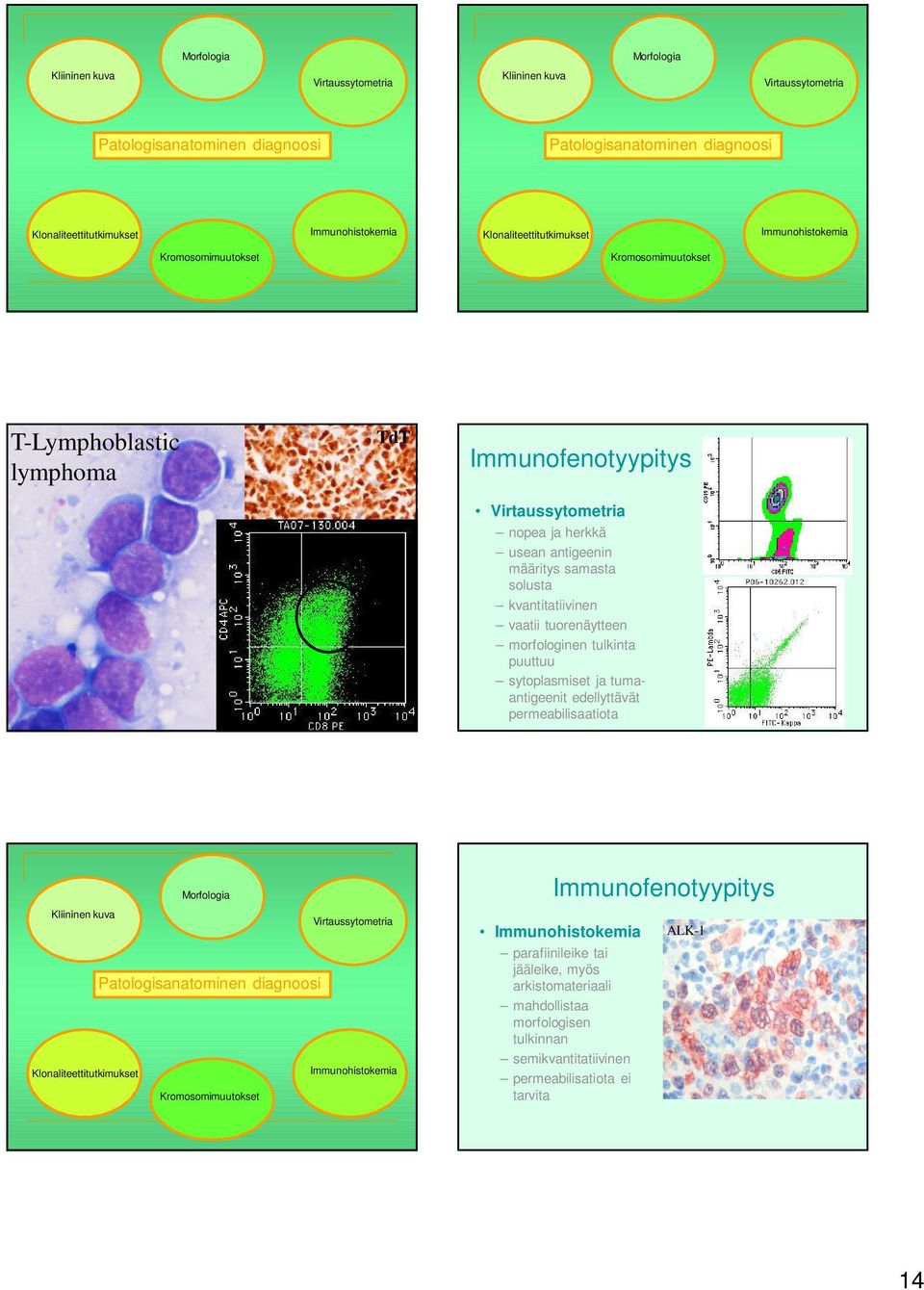 tuorenäytteen morfologinen tulkinta puuttuu sytoplasmiset ja tumaantigeenit edellyttävät permeabilisaatiota Morfologia Kliininen kuva Patologisanatominen diagnoosi Klonaliteettitutkimukset