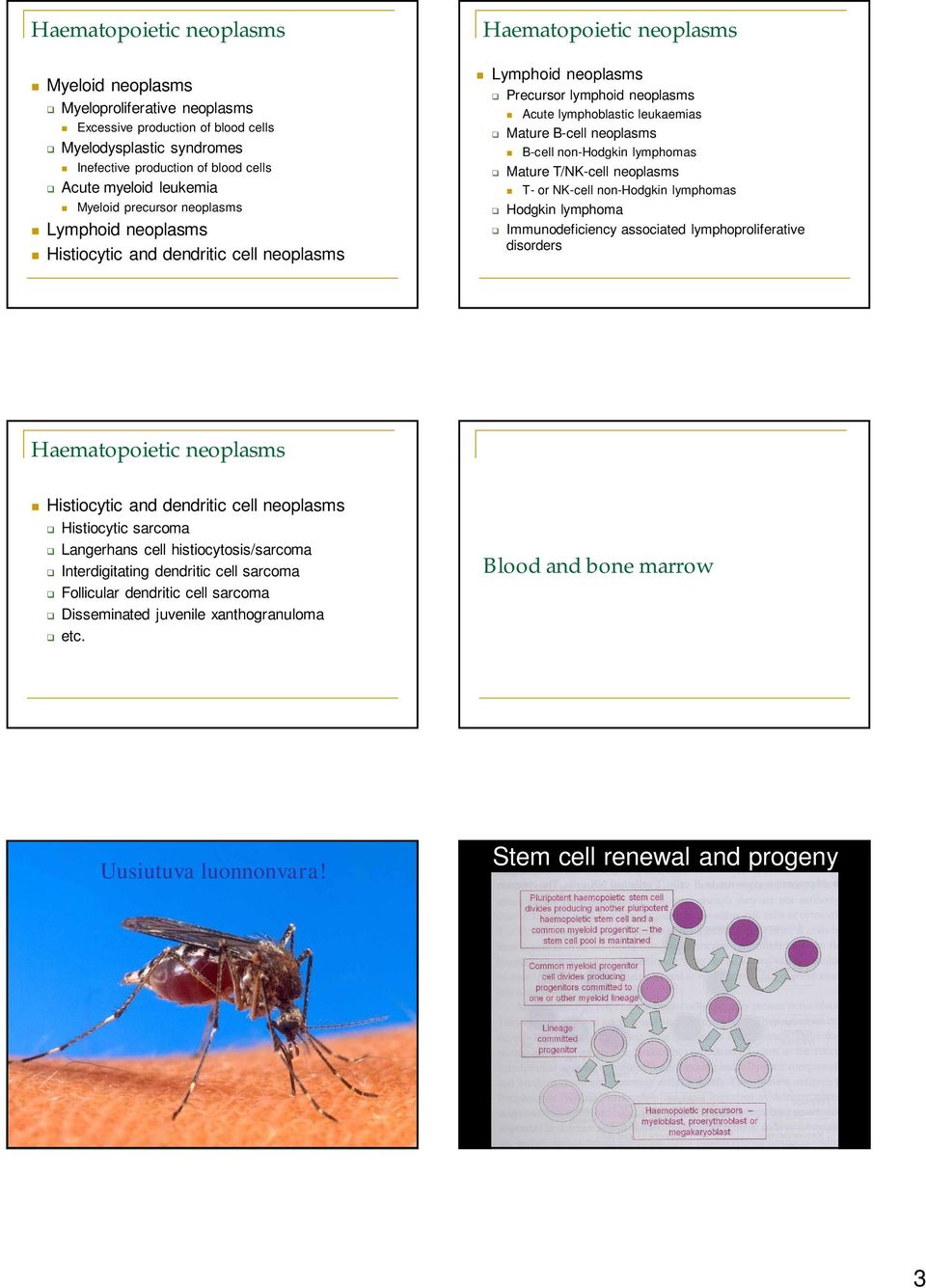 B-cell neoplasms B-cell non-hodgkin lymphomas Mature T/NK-cell neoplasms T- or NK-cell non-hodgkin lymphomas Hodgkin lymphoma Immunodeficiency associated lymphoproliferative disorders Haematopoietic