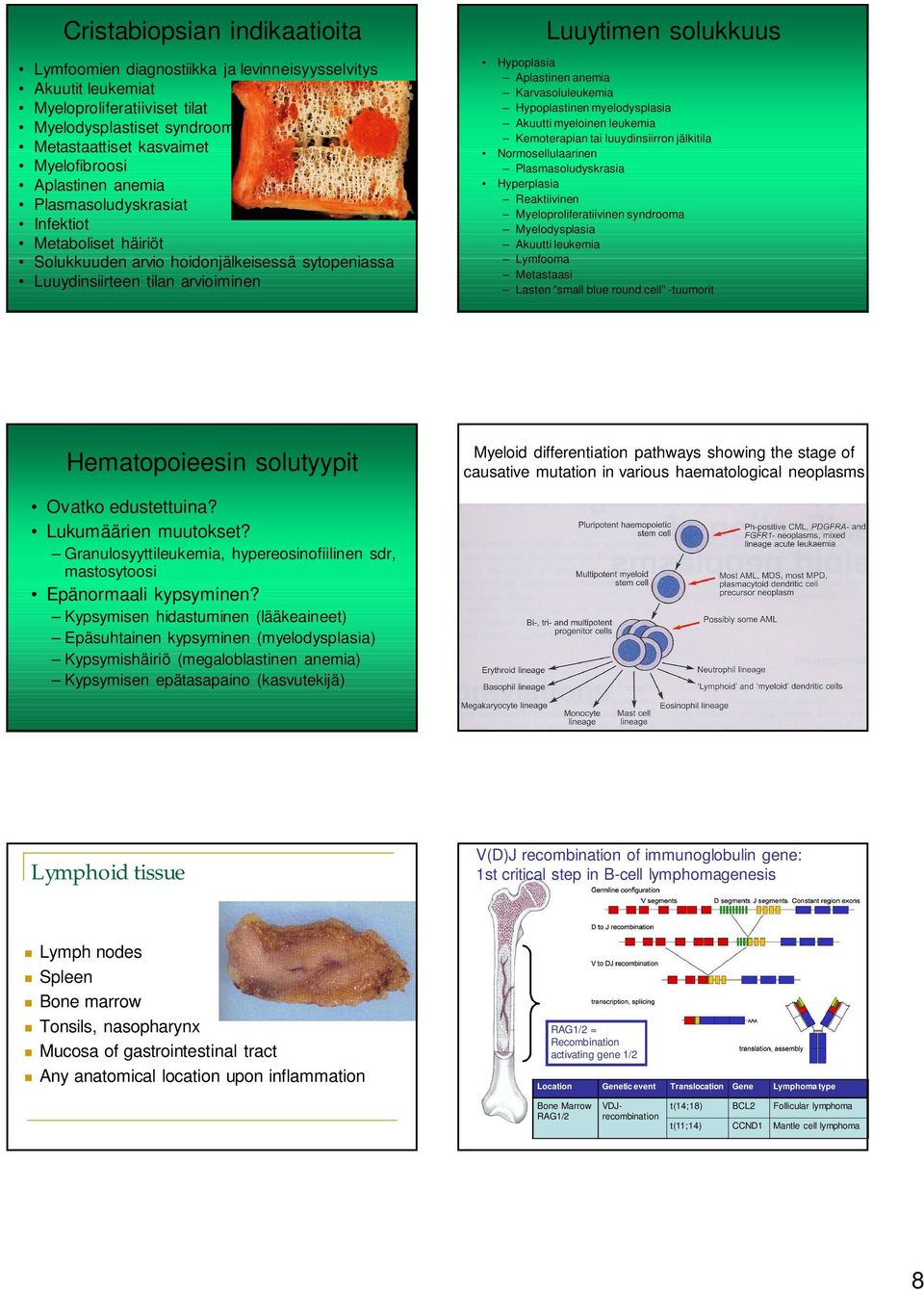 anemia Karvasoluleukemia Hypoplastinen myelodysplasia Akuutti myeloinen leukemia Kemoterapian tai luuydinsiirron jälkitila Normosellulaarinen Plasmasoludyskrasia Hyperplasia Reaktiivinen