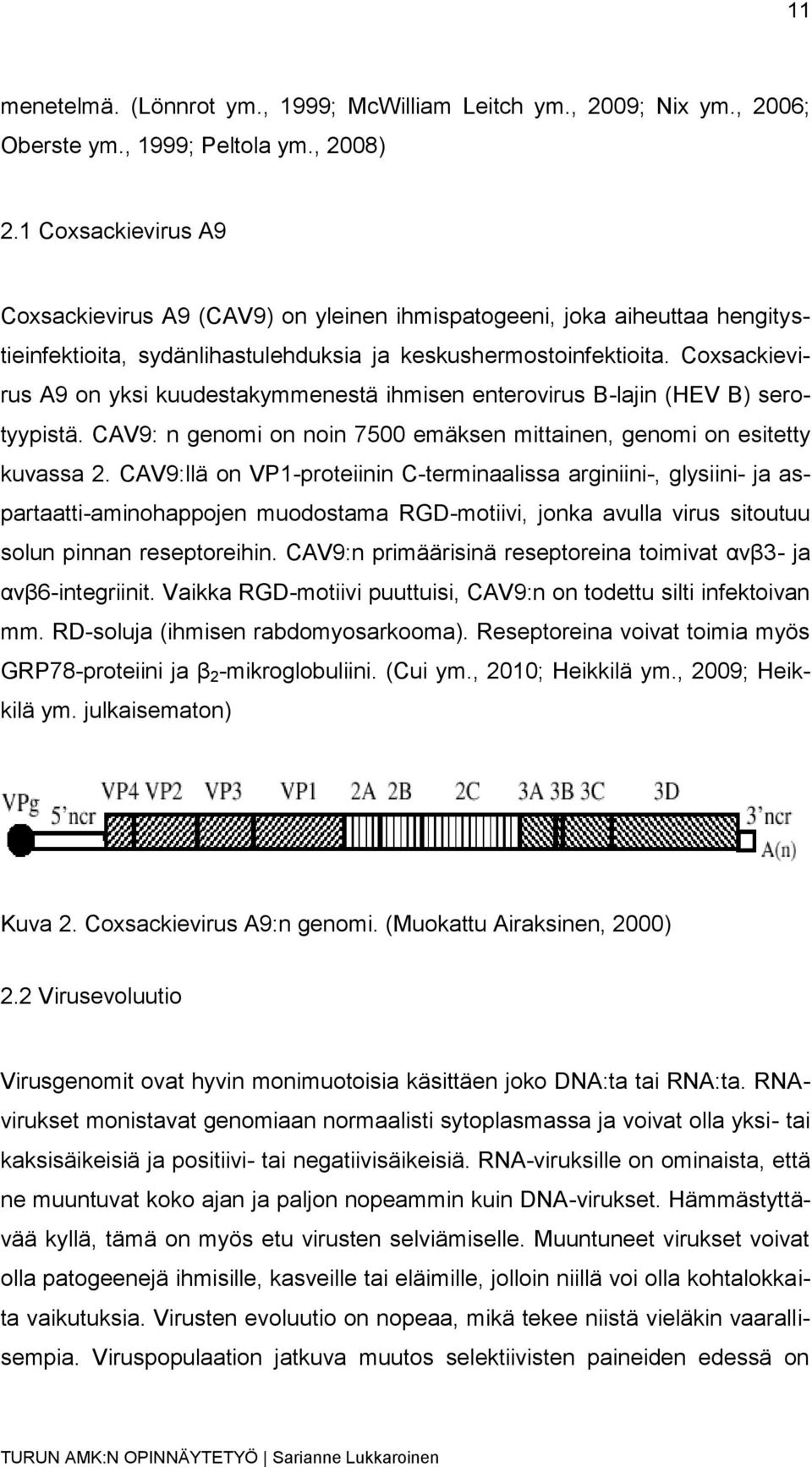 Coxsackievirus A9 on yksi kuudestakymmenestä ihmisen enterovirus B-lajin (HEV B) serotyypistä. CAV9: n genomi on noin 7500 emäksen mittainen, genomi on esitetty kuvassa 2.